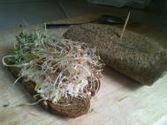 Eggless tofu salad and sprouts on spelt bread and hemp tortillas