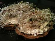 Eggless tofu salad on spelt bread with sprouts